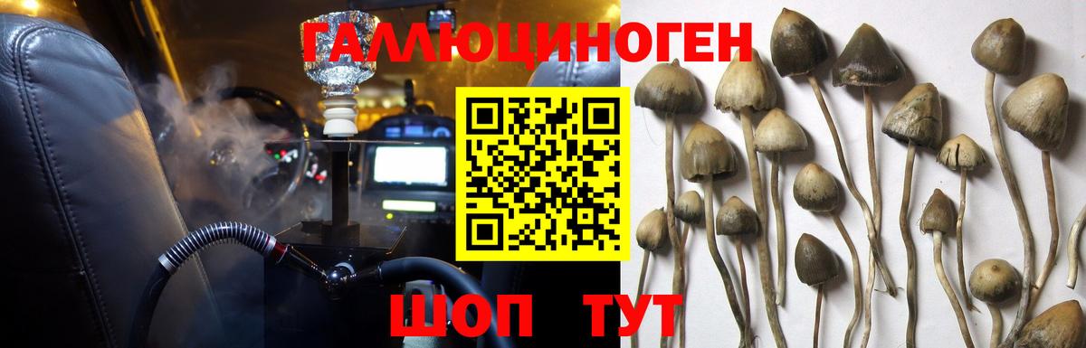 Луховицы  Псилоцибиновые грибы Psilocybe  Вход с VPN 